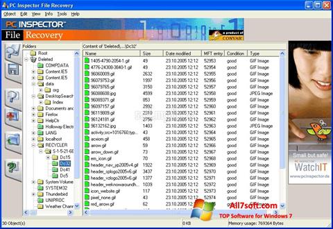 સ્ક્રીનશૉટ PC Inspector File Recovery Windows 7