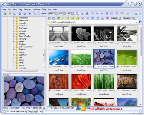 સ્ક્રીનશૉટ FastStone Image Viewer Windows 7