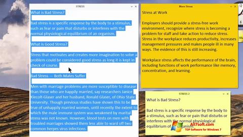 સ્ક્રીનશૉટ Simple Sticky Notes Windows 7