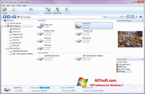 સ્ક્રીનશૉટ RS File Recovery Windows 7