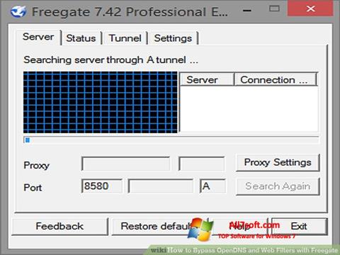 સ્ક્રીનશૉટ Freegate Windows 7