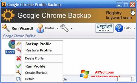 સ્ક્રીનશૉટ Google Chrome Backup Windows 7